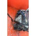 Двигатель контрактный в сборе Honda D16A 1.6 (D16A)