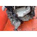 Двигатель контрактный в сборе Nissan MR20DE 2.0 (10102-JD2AC)